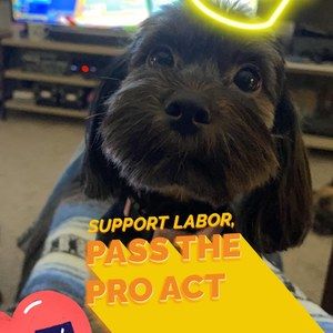 Meet your Posher, Erick